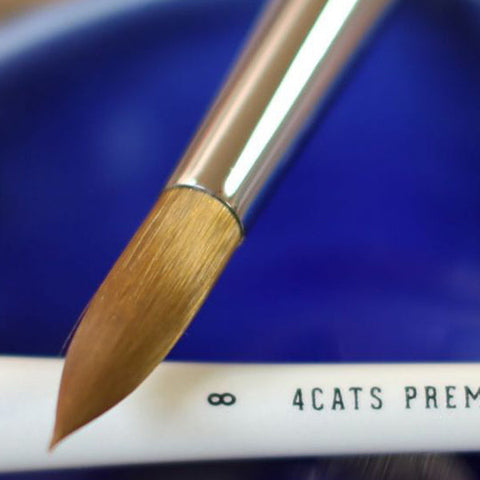 Synthetic Long Handled Brushes