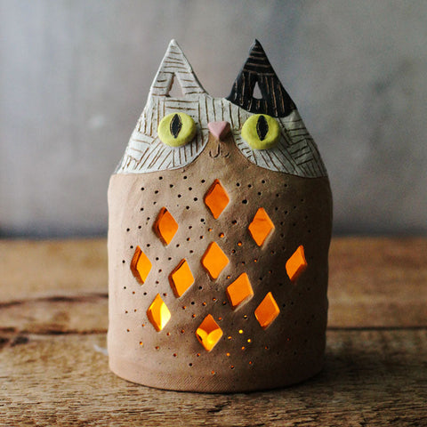 Pretty Cool Cat Lantern