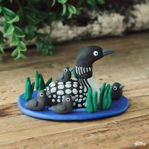 Canada Loon