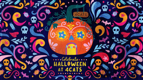 Halloween Kits for Home