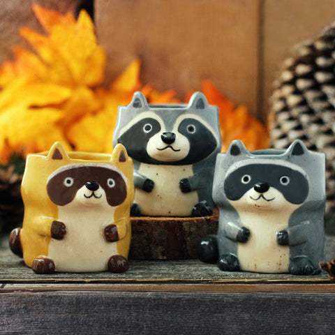 Raccoon Cup