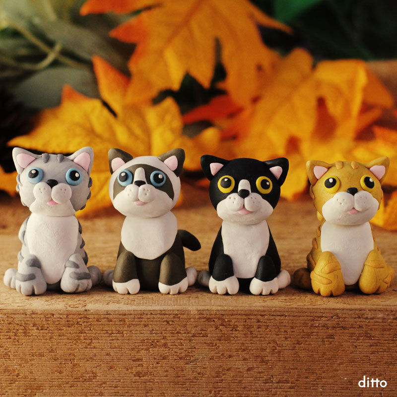 St Catharines | Cat Ditto | Instructor Guided Workshop