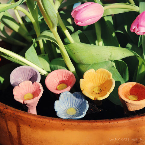 1pm Sun Apr 19th | Bee Cups