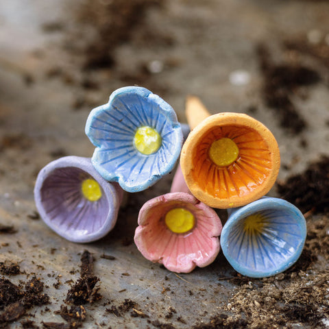 3pm Sat Apr 11th | Bee Cups