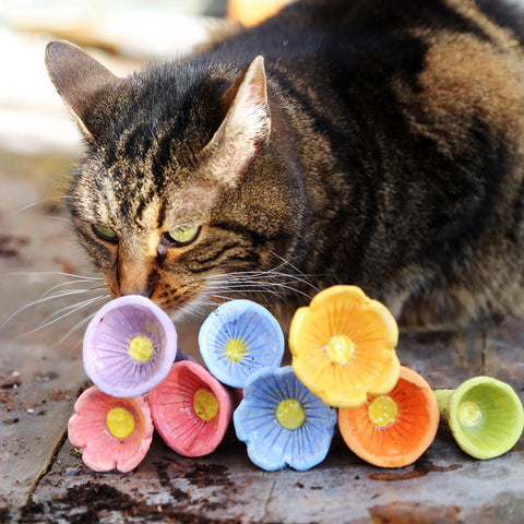 3pm Sat Apr 11th | Bee Cups