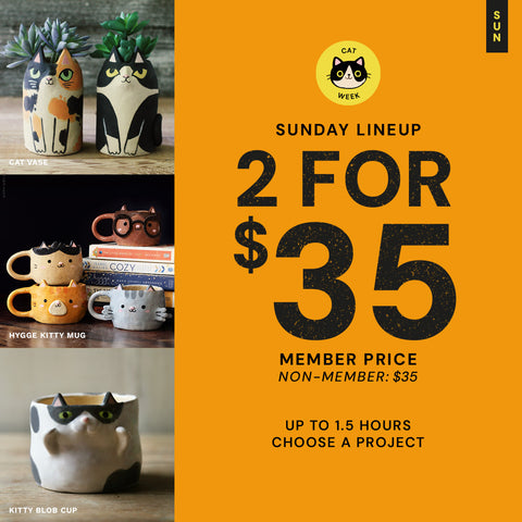 Sunday Lineup | Cats Week | Sun Sep 6th