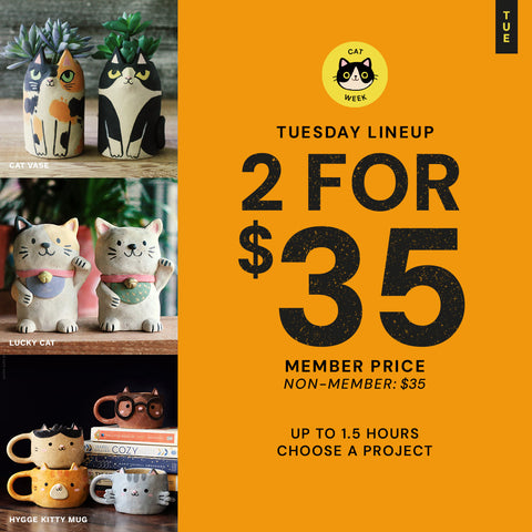 Tuesday Lineup | Cat Week | Tue Sep 1st