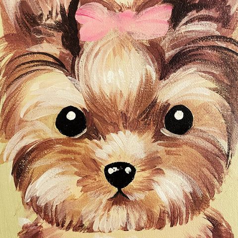 6pm Wed Feb 11th | Furry Friend