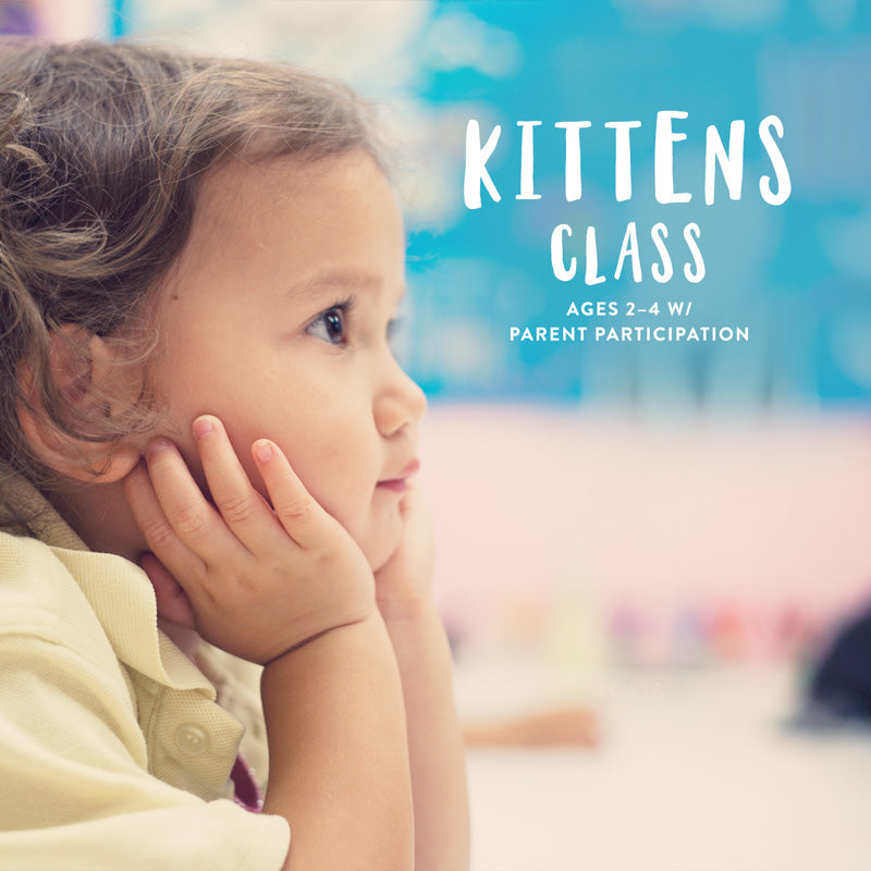 Kittens Ages 2-4 with Adult Participant