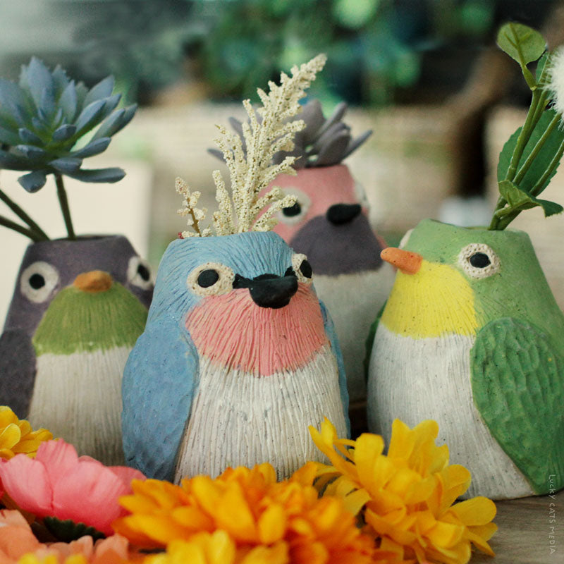 2pm Sun Jul 5th | Little Birdie