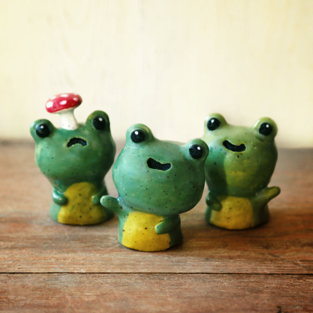 Saturday Lineup | Frog Week | Sat Jul 25th