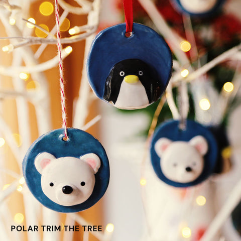 Sunday Lineup | Polar Week | Sun Nov 22nd