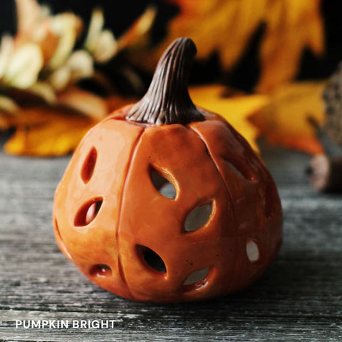 Sunday Lineup | Pumpkin Everything Week | Sun Oct 18th