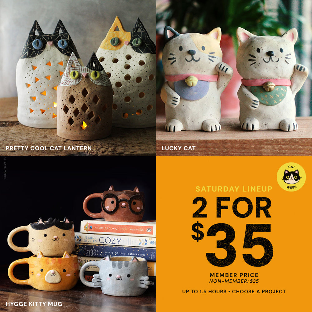 Saturday Lineup | Cat Week | Sat Sep 5th