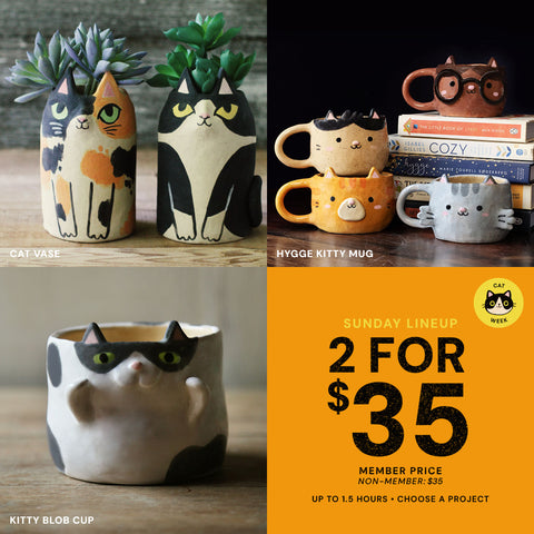 Sunday Lineup | Cat Week | Sun Sep 6th