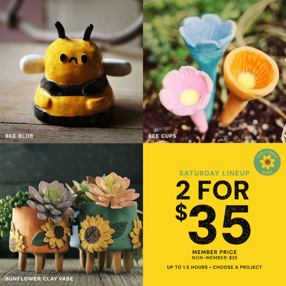 Saturday Lineup | Sunflower Week | Sat Aug 1st