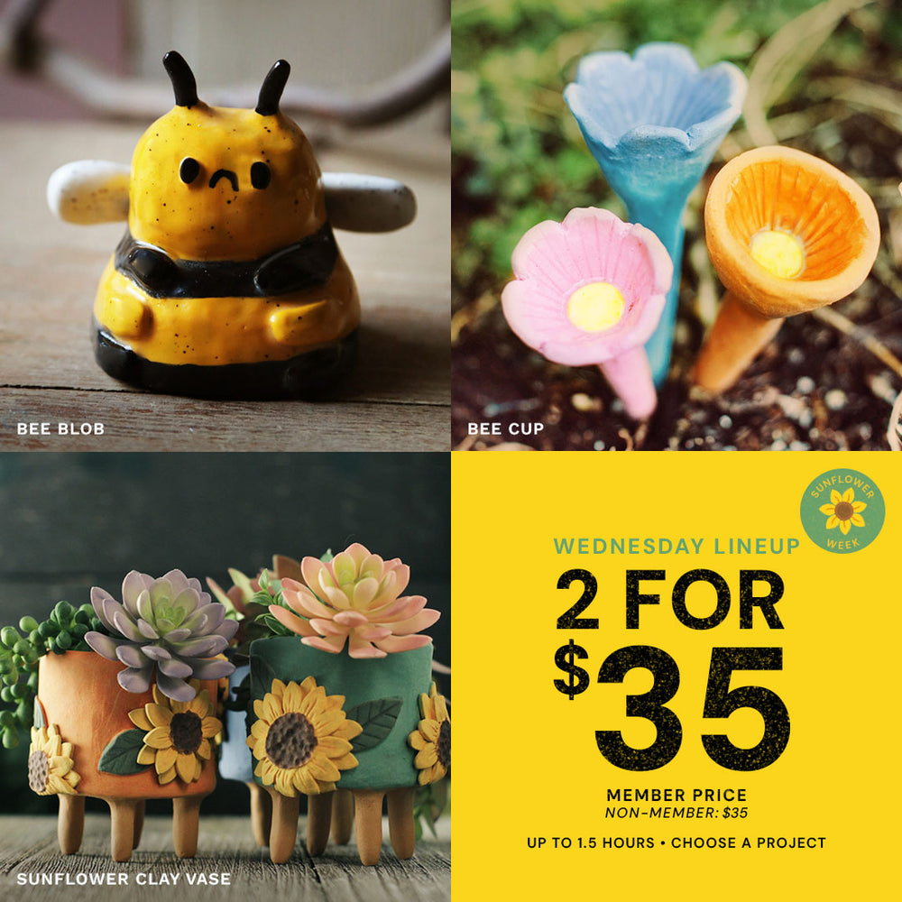 Wednesday Lineup | Sunflower Week | Wed Jul 29th