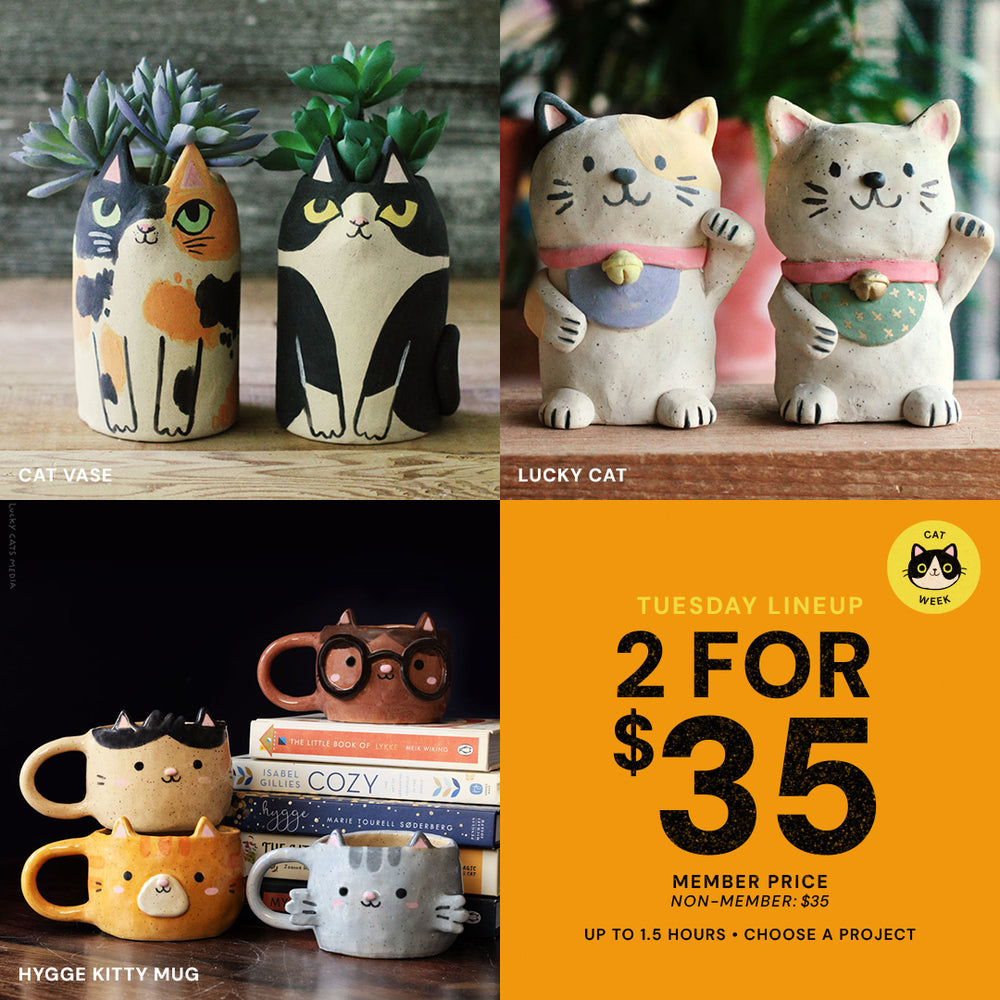 Tuesday Lineup | Cat Week | Tue Sep 1st