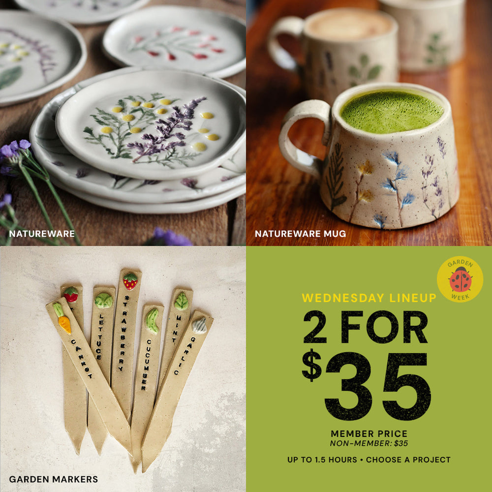 Wednesday Lineup | Garden Week | Wed Aug 12th