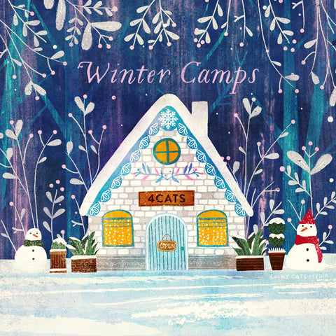 Winter Break Camp