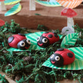 4Cats Ditto Oven-Bake Clay Bug Kit
